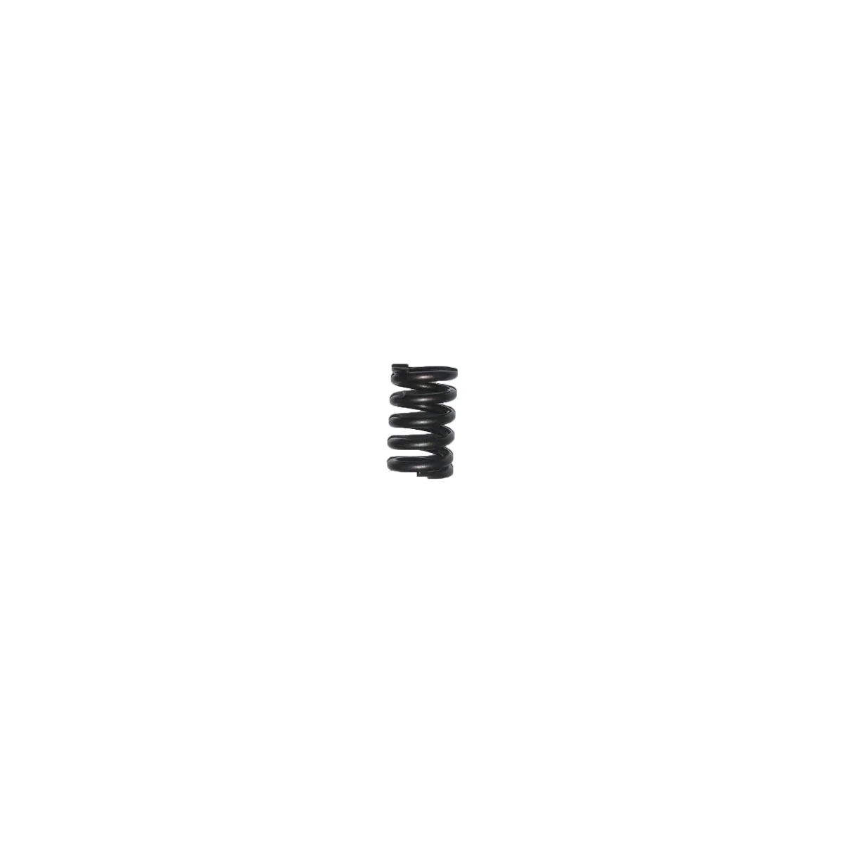 Charge spring WHST40-02-3