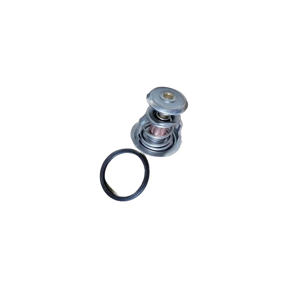 ASSYPISTON RING 1A021-7301-2