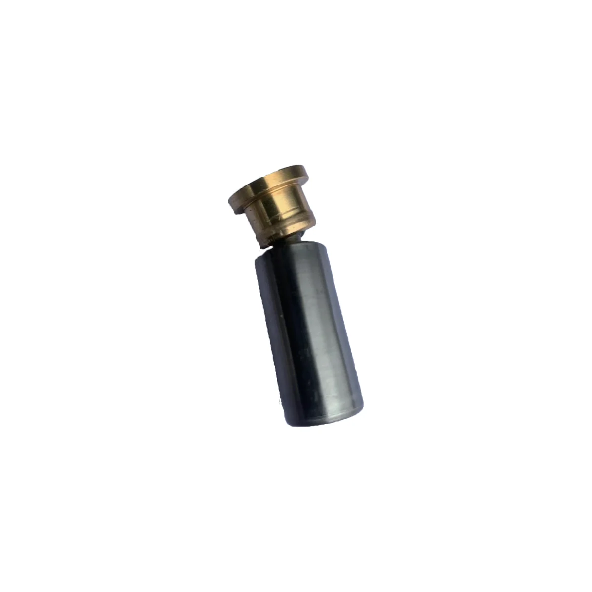 Plunger assembly WHST45-08-7