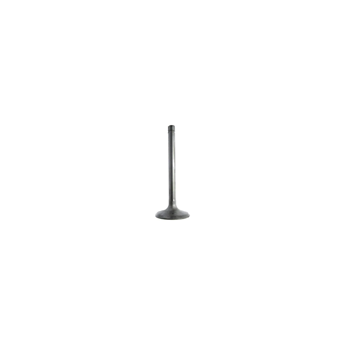 Gear,19T 1G852-1311-0